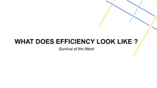 WHAT DOES EFFICIENCY LOOK LIKE ?
Survival of the fittest
 
