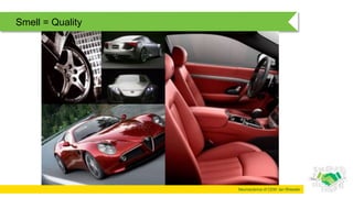 Neuroscience of CEM: Ian Rheeder
Smell = Quality
 