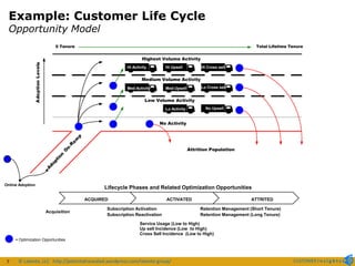 Developing a Customer Insights Strategy | PDF