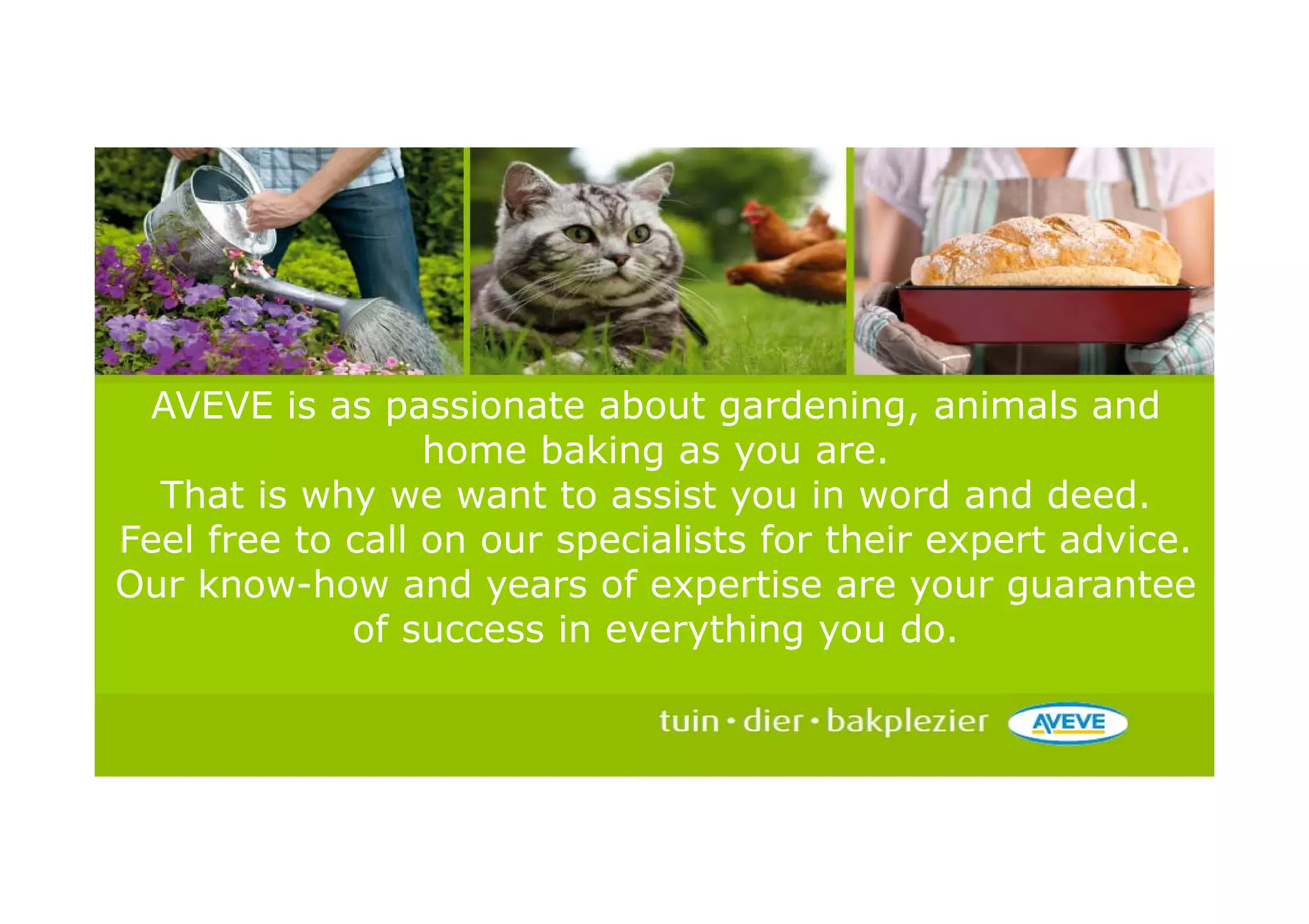 AVEVE is as passionate about gardening, animals and
                  home baking as you are.
  That is why we want to assist you in word and deed.
Feel free to call on our specialists for their expert advice.
Our know-how and years of expertise are your guarantee
             of success in everything you do.
 