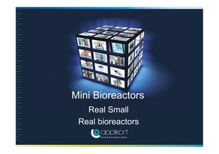 Mini Bioreactors
Real Small
Real bioreactors
 