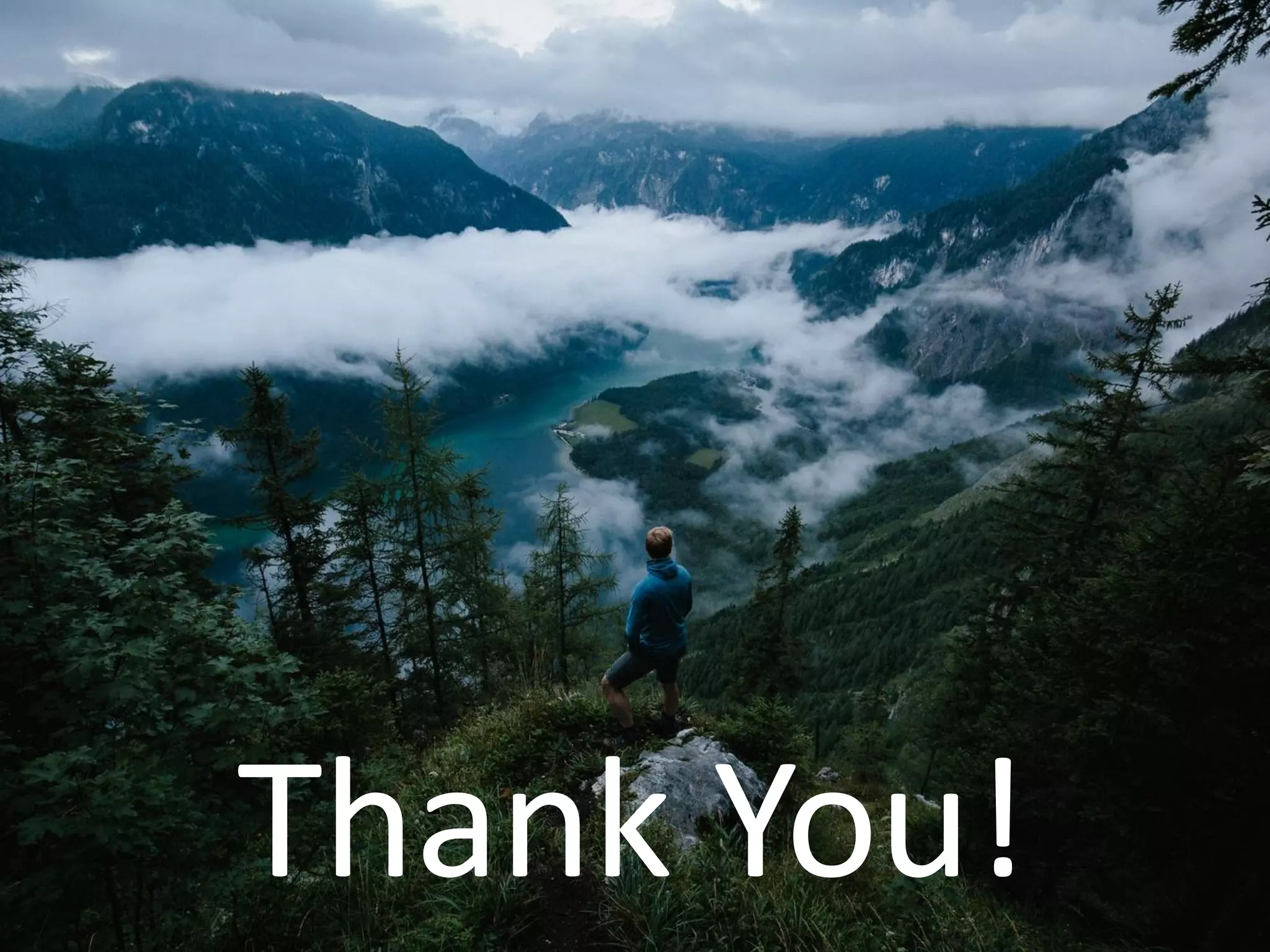 Thank you
Thank You!
 