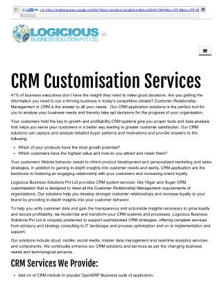 CRM Customisation Services