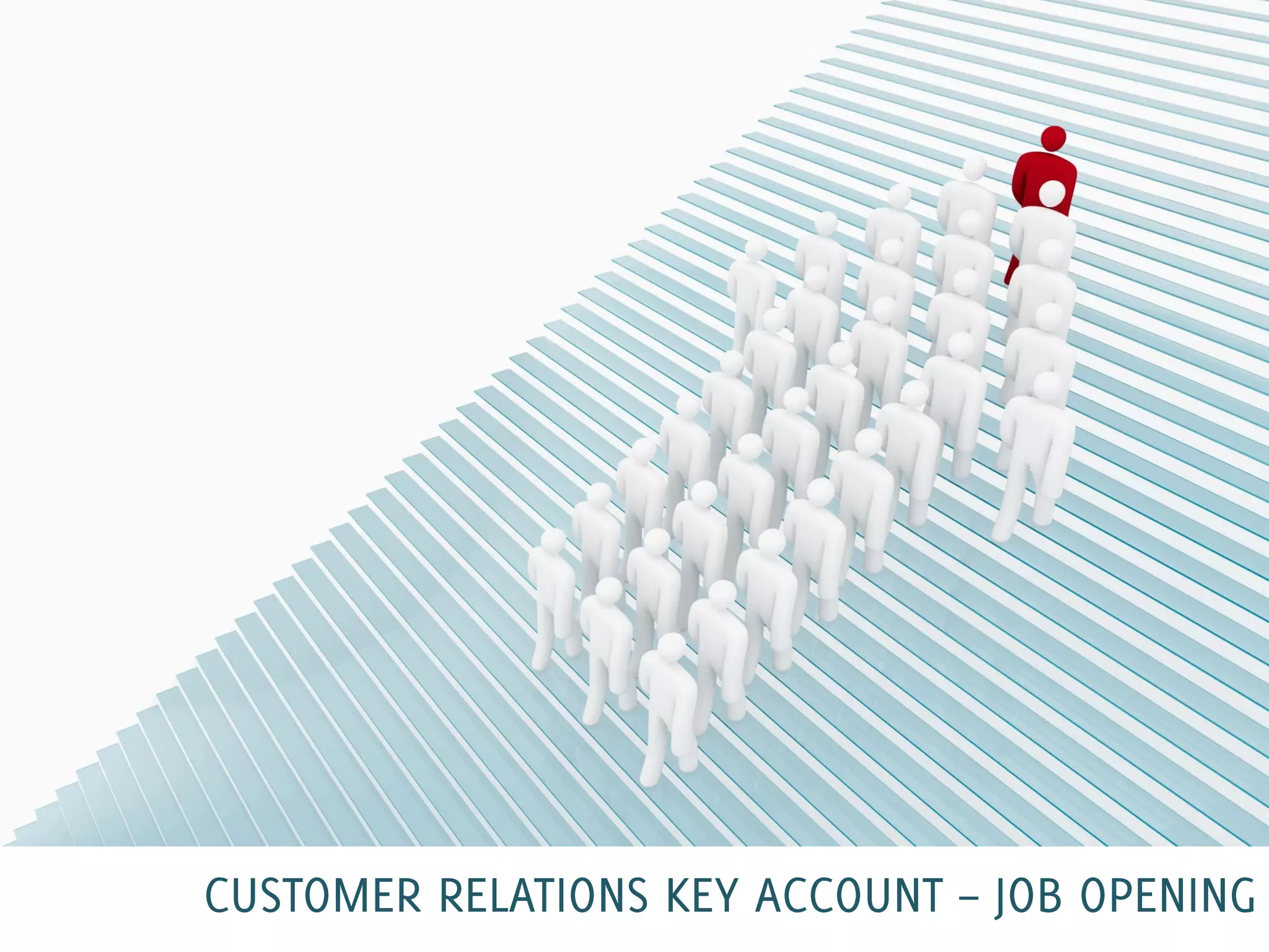 Customer Relations Key Account position for Romania | PPT