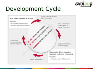Development Cycle 