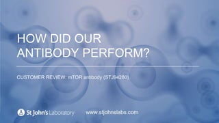 HOW DID OUR
ANTIBODY PERFORM?
CUSTOMER REVIEW: mTOR Polyclonal Antibody (STJ94280)
 