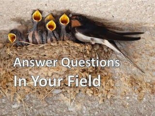 Answer Questions In Your Field