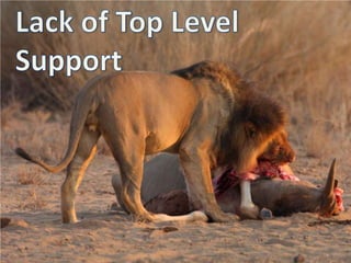 Lack of Top Level Support