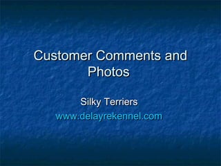 Customer Comments andCustomer Comments and
PhotosPhotos
Silky TerriersSilky Terriers
www.delayrekennel.comwww.delayrekennel.com
 