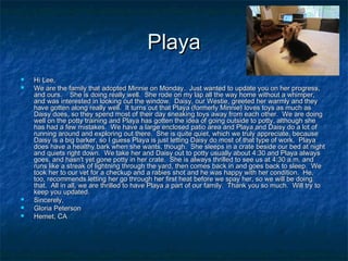 PlayaPlaya
 Hi Lee,Hi Lee,
 We are the family that adopted Minnie on Monday.  Just wanted to update you on her progress,...