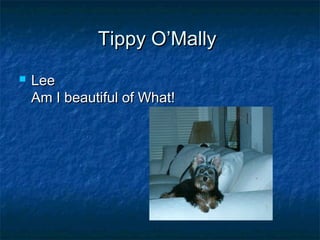 Tippy O’MallyTippy O’Mally
 LeeLee
Am I beautiful of What!Am I beautiful of What!
 