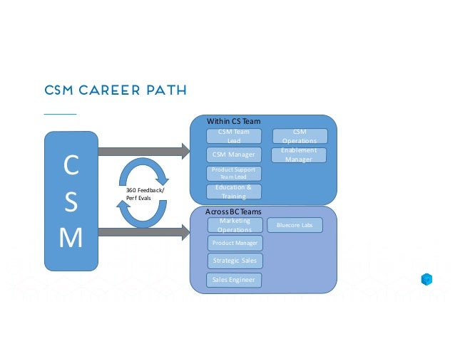 successful career paths