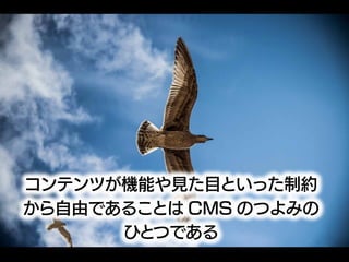 カスタムフィールド製造業の光と闇――非プログラマはWordPressとどうつきあっていくか