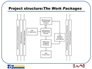 Project structure: T he Work Packages 