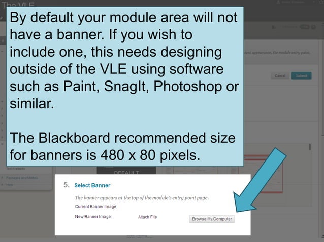 Introduction to customising your module area in Blackboard Learn 9.1 | PPT