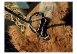 Copyright © Prof. Me. Alexandre Rodriguez 2012
 