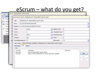 eScrum – what do you get?
 