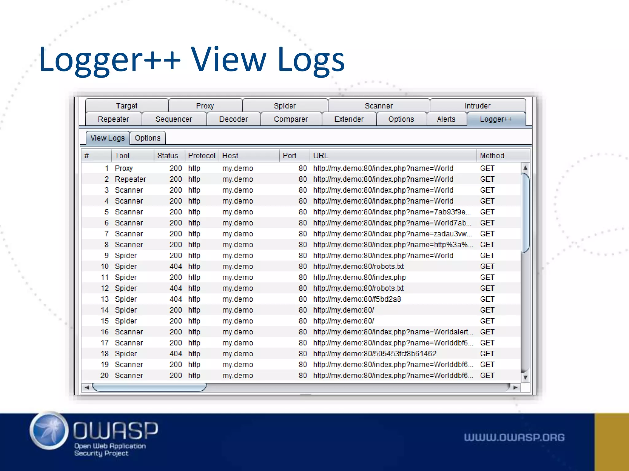 Logger++ View Logs
 