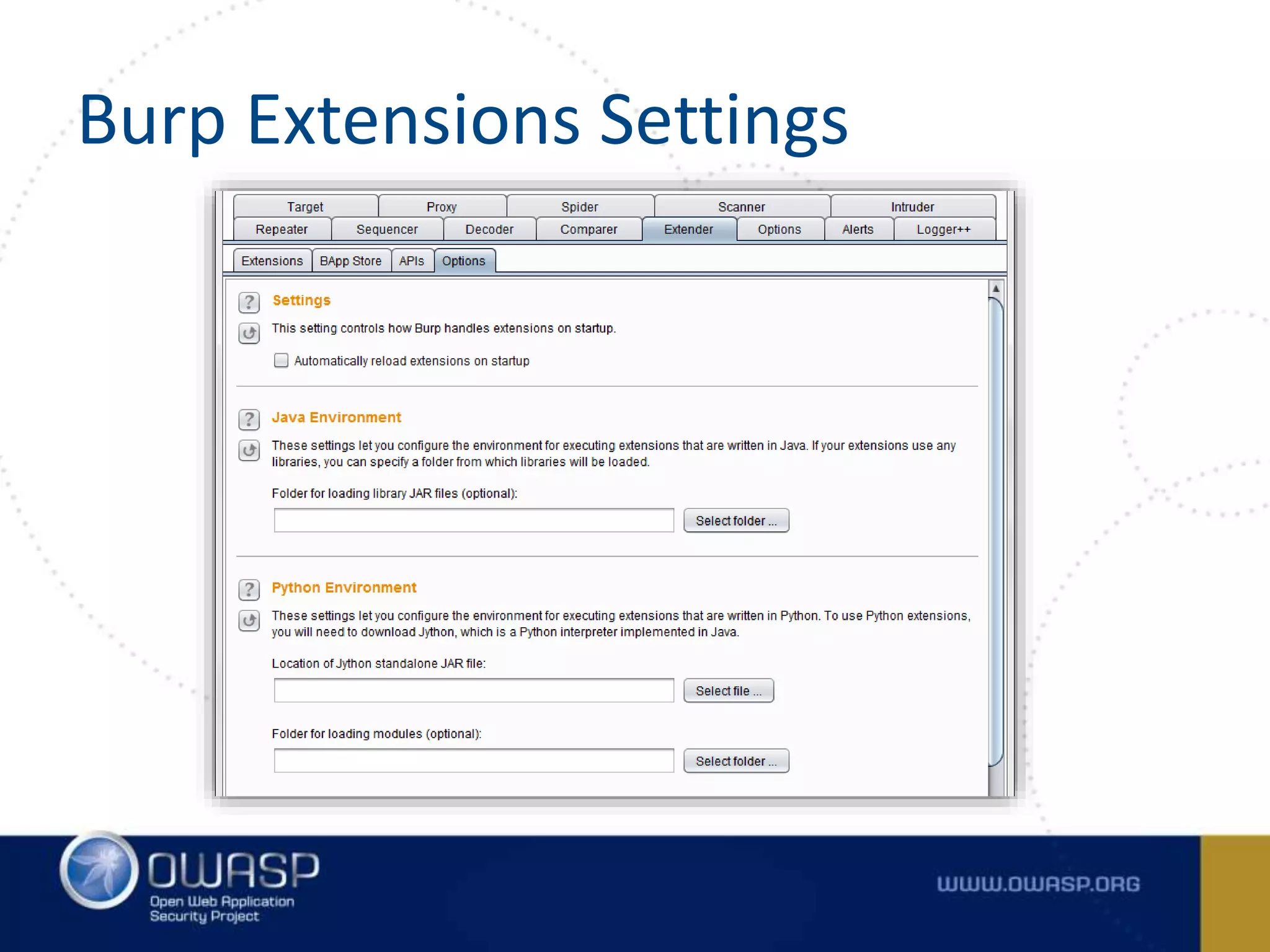 Burp Extensions Settings
 