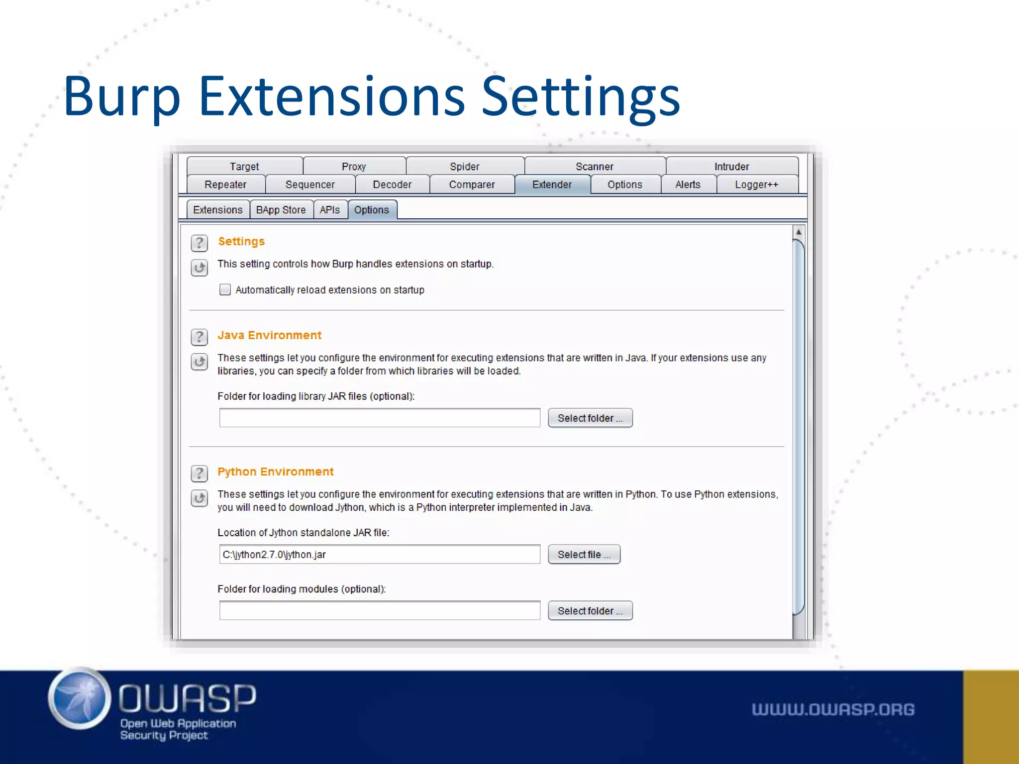 Burp Extensions Settings
 