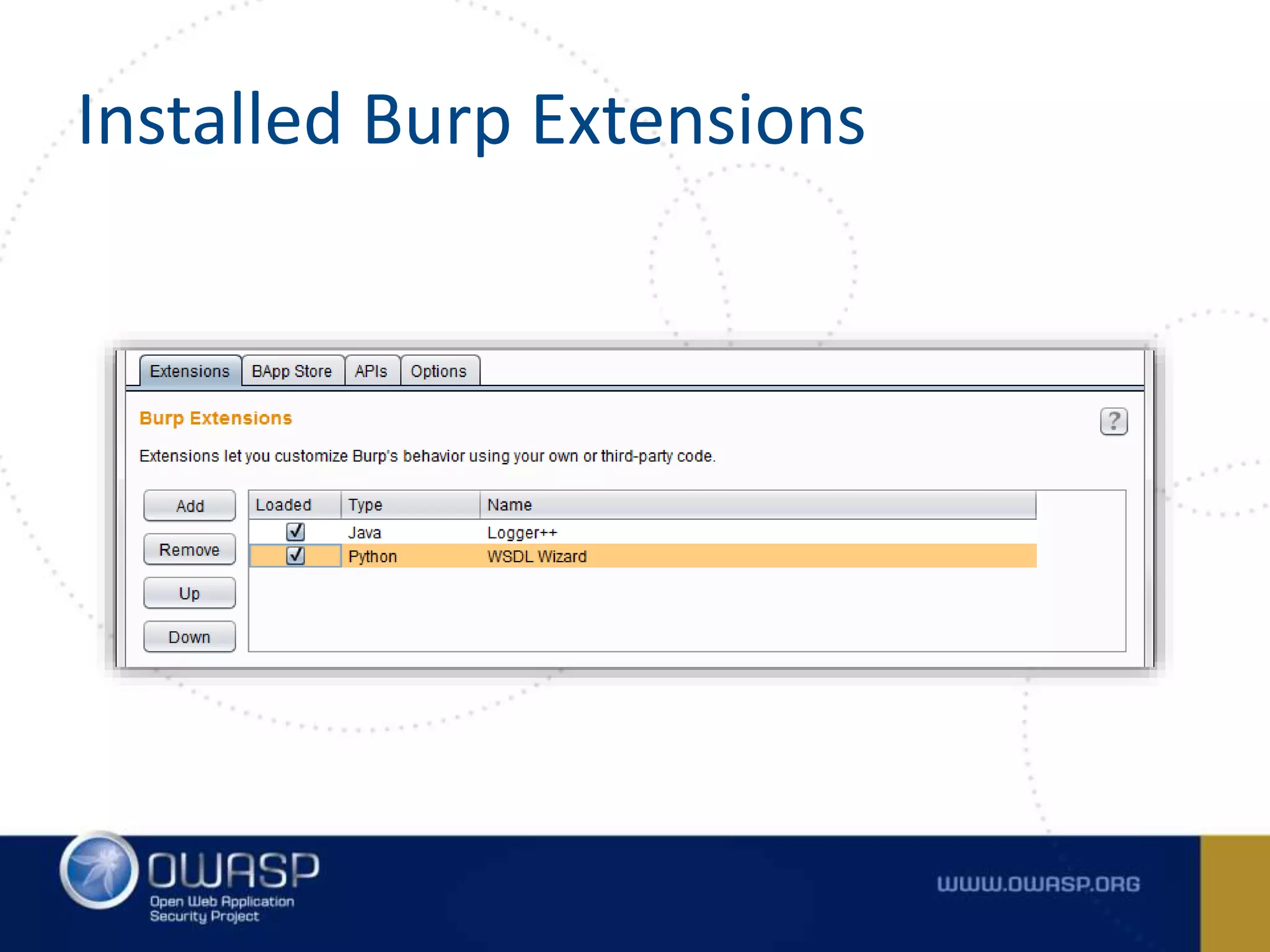 Installed Burp Extensions
 