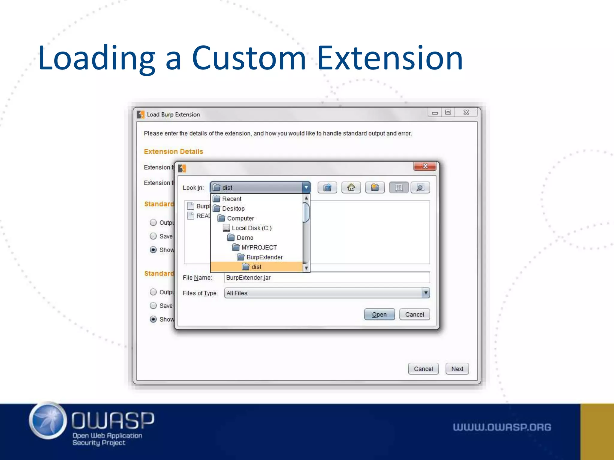 Loading a Custom Extension
 