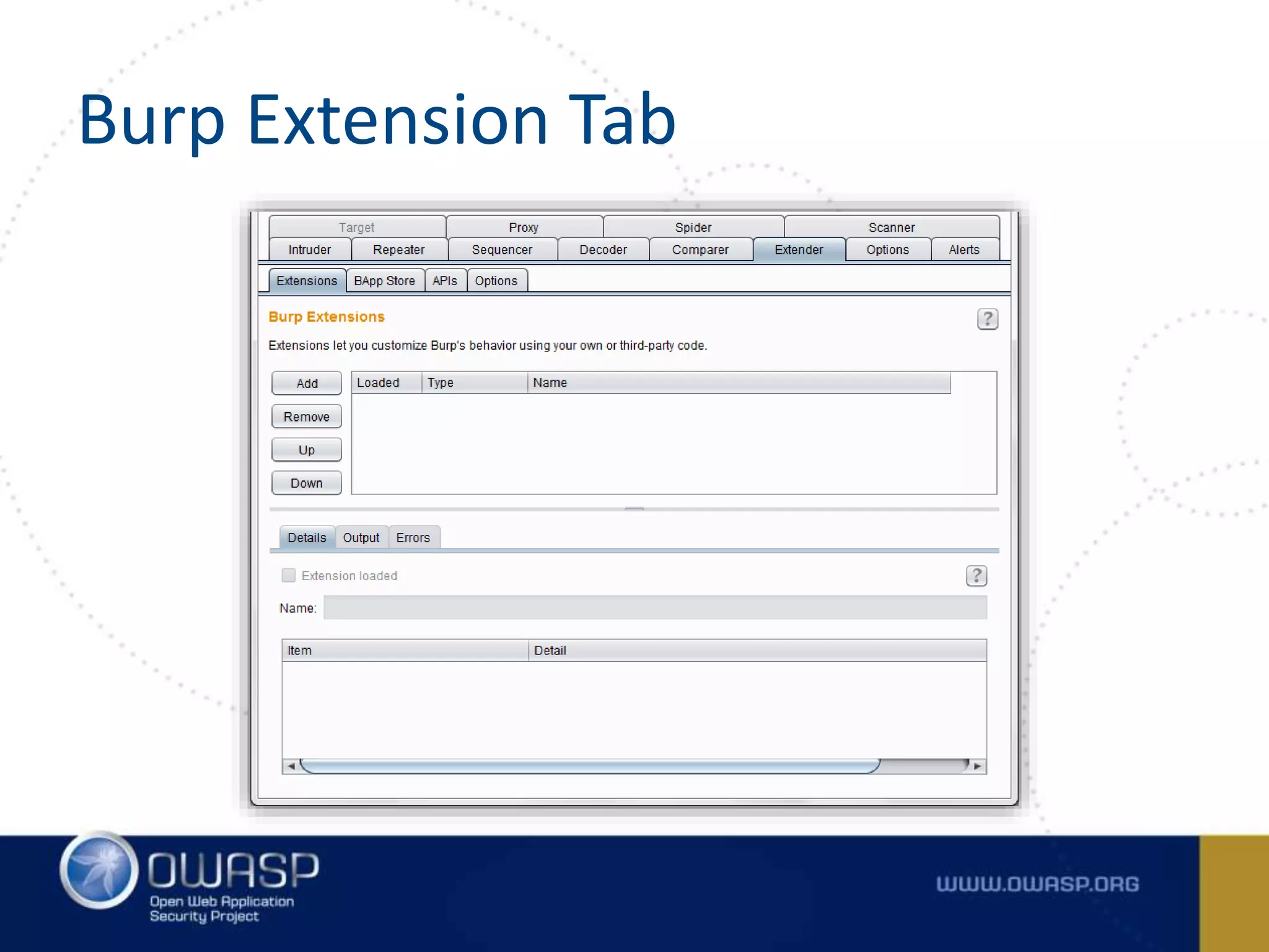 Burp Extension Tab
 