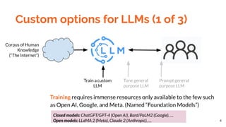 Customizing LLMs | PDF