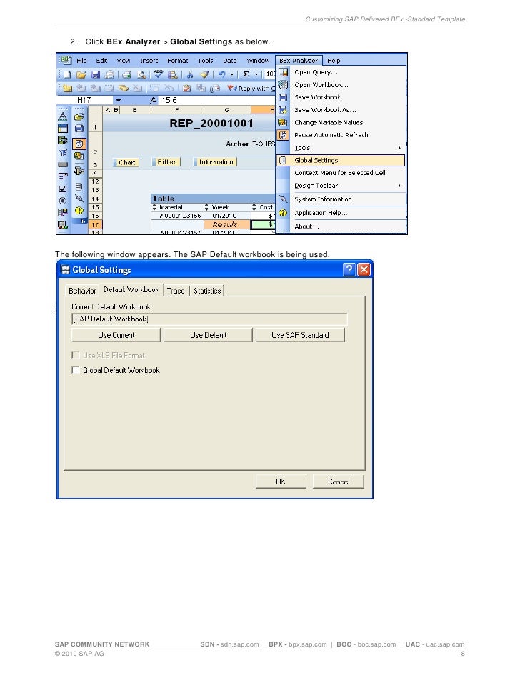 Customizing sap template bex