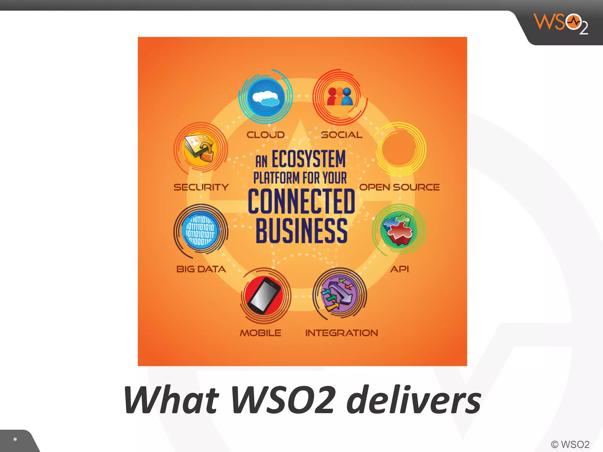 **
What WSO2 delivers
 