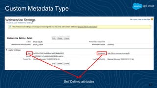 Custom Metadata Data Types | PPTX