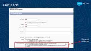 Custom Metadata Data Types | PPTX