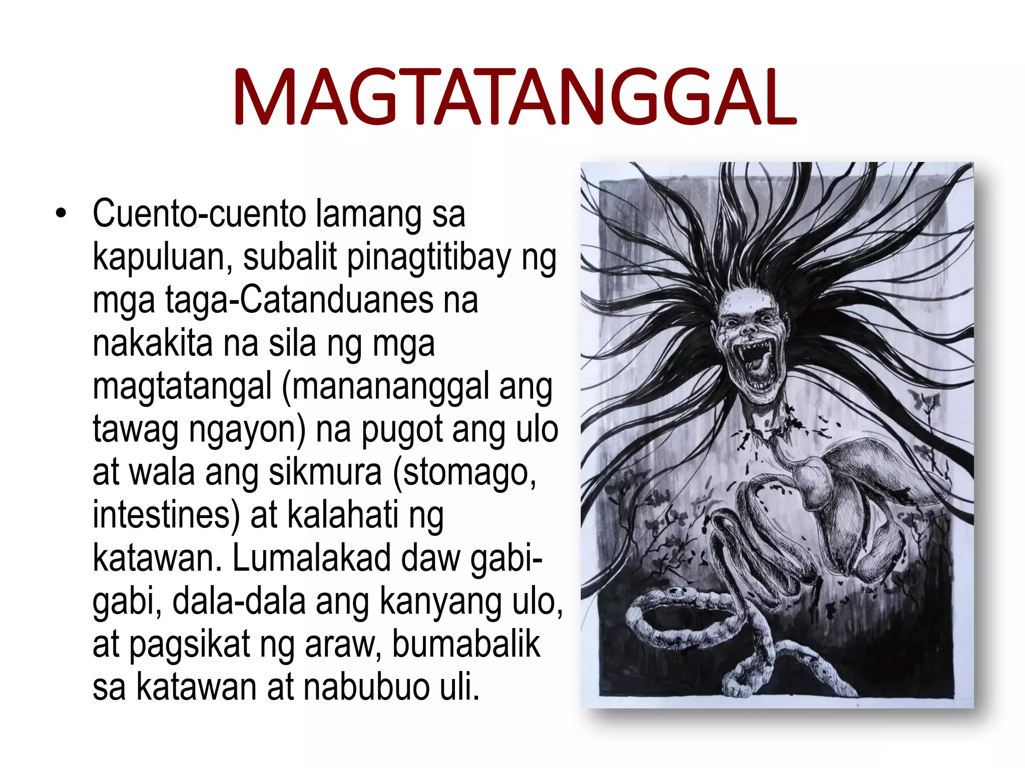 MAGTATANGGAL
• Cuento-cuento lamang sa
kapuluan, subalit pinagtitibay ng
mga taga-Catanduanes na
nakakita na sila ng mga
magtatangal (manananggal ang
tawag ngayon) na pugot ang ulo
at wala ang sikmura (stomago,
intestines) at kalahati ng
katawan. Lumalakad daw gabi-
gabi, dala-dala ang kanyang ulo,
at pagsikat ng araw, bumabalik
sa katawan at nabubuo uli.
 