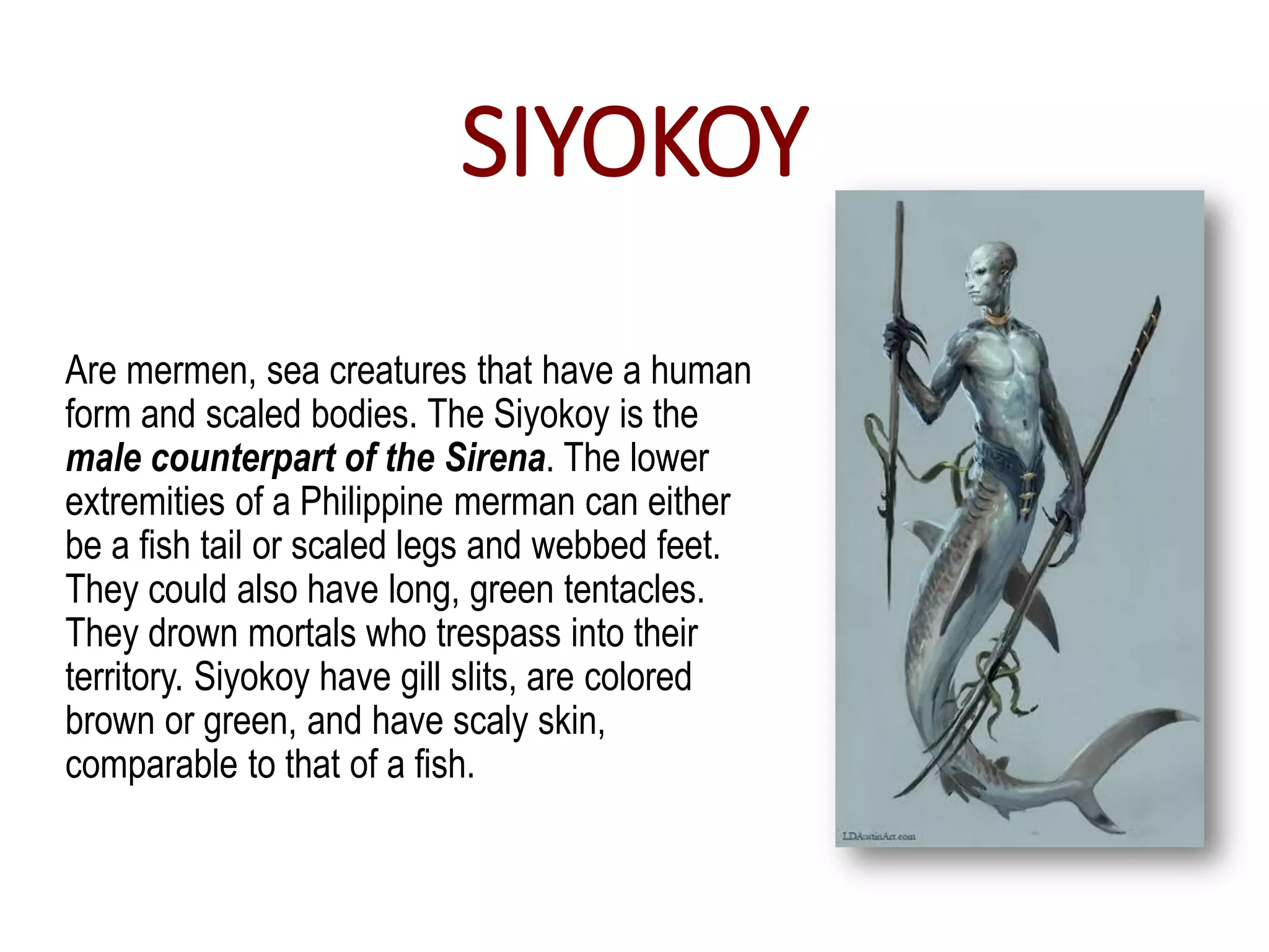 SIYOKOY
Are mermen, sea creatures that have a human
form and scaled bodies. The Siyokoy is the
male counterpart of the Sirena. The lower
extremities of a Philippine merman can either
be a fish tail or scaled legs and webbed feet.
They could also have long, green tentacles.
They drown mortals who trespass into their
territory. Siyokoy have gill slits, are colored
brown or green, and have scaly skin,
comparable to that of a fish.
 