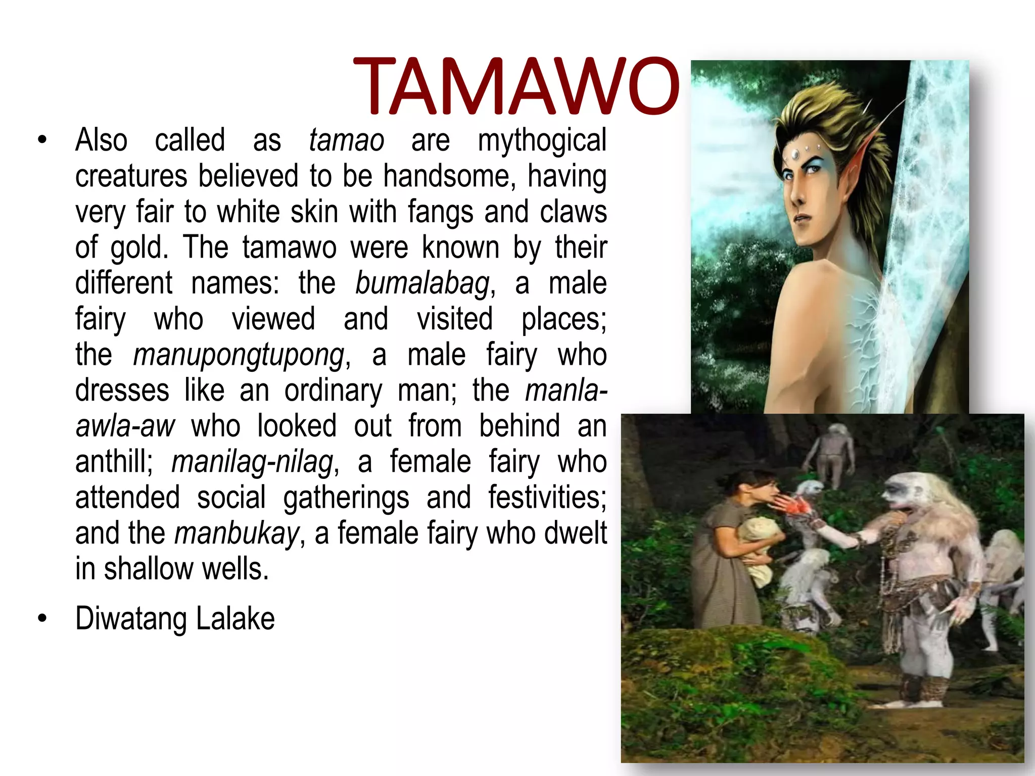 TAMAWO
• Also called as tamao are mythogical
creatures believed to be handsome, having
very fair to white skin with fangs and claws
of gold. The tamawo were known by their
different names: the bumalabag, a male
fairy who viewed and visited places;
the manupongtupong, a male fairy who
dresses like an ordinary man; the manla-
awla-aw who looked out from behind an
anthill; manilag-nilag, a female fairy who
attended social gatherings and festivities;
and the manbukay, a female fairy who dwelt
in shallow wells.
• Diwatang Lalake
 