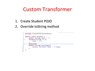 Custom transformer and annotation | PPT
