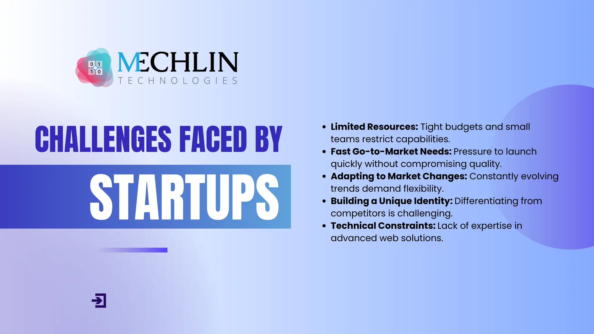 Custom Web Development for Startups - Mechlin.pdf