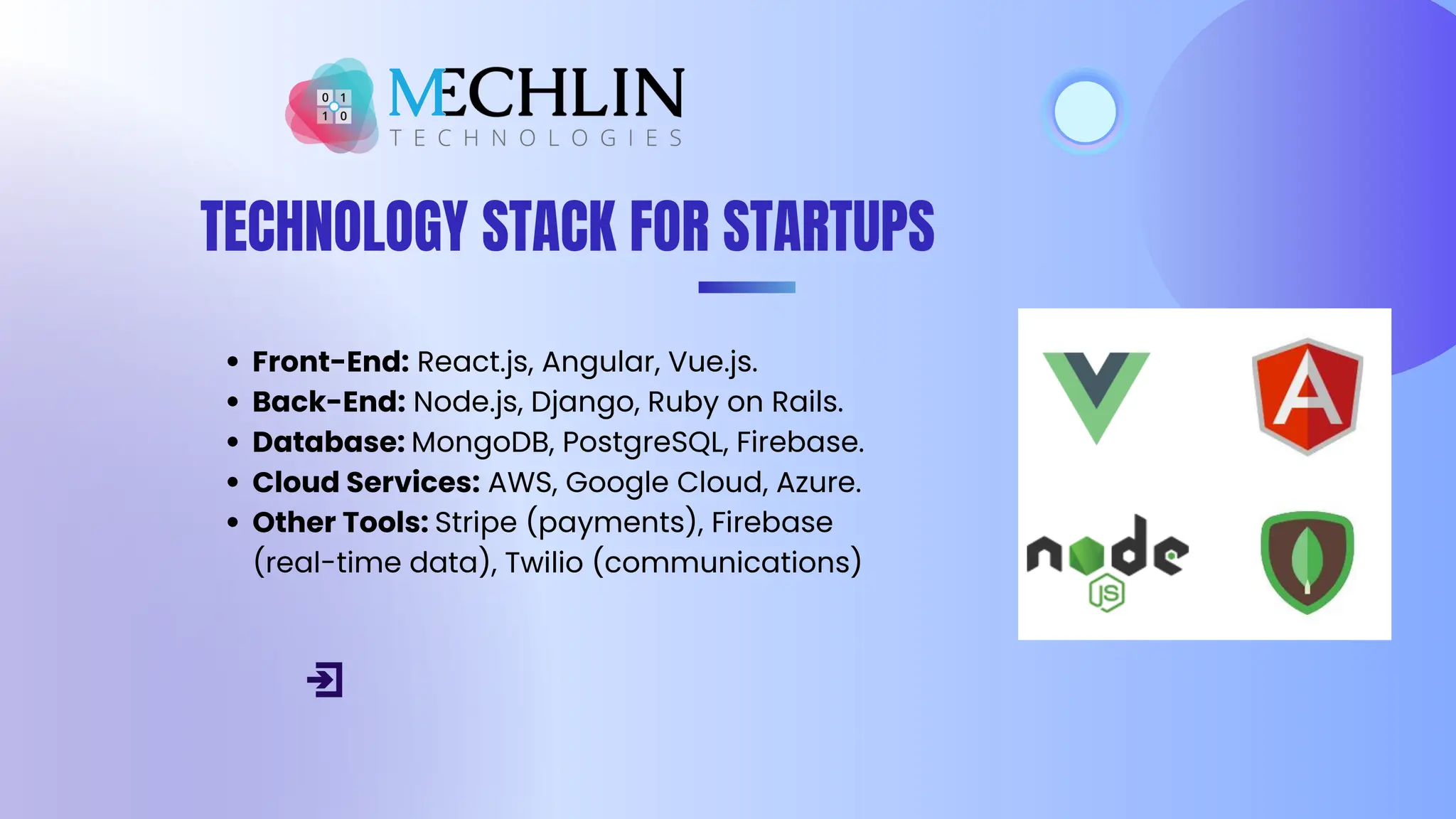 Custom Web Development for Startups - Mechlin.pdf