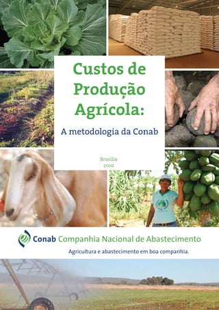 Custos de
Produção
Agrícola:
A metodologia da Conab
Brasília
2010
 