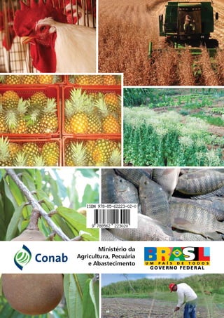60Custos de Produção Agrícola: A Metodologia da Conab
 