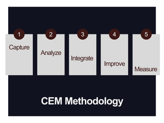 12345CaptureAnalyzeIntegrateImproveMeasureCEM Methodology
