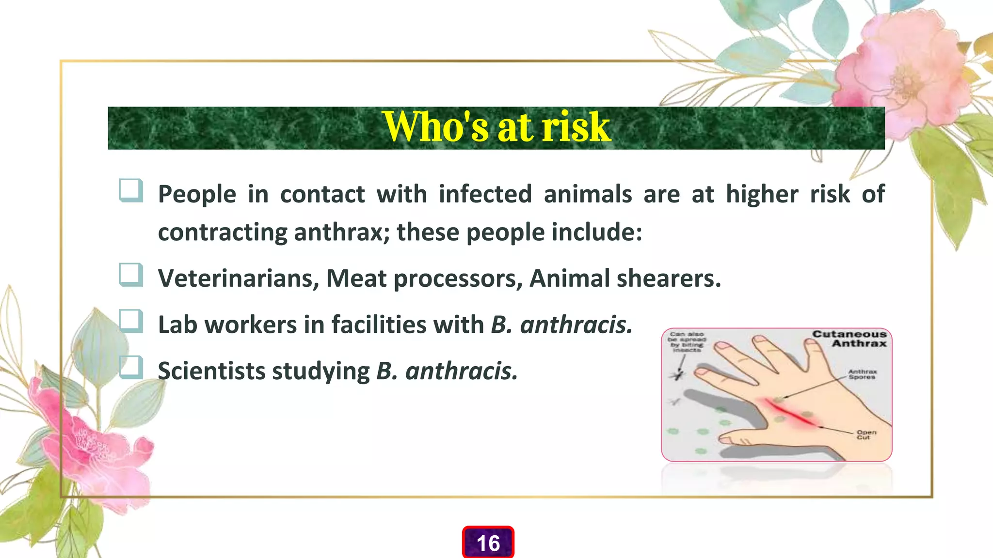 Who's at risk
 People in contact with infected animals are at higher risk of
contracting anthrax; these people include:
 Veterinarians, Meat processors, Animal shearers.
 Lab workers in facilities with B. anthracis.
 Scientists studying B. anthracis.
16
 