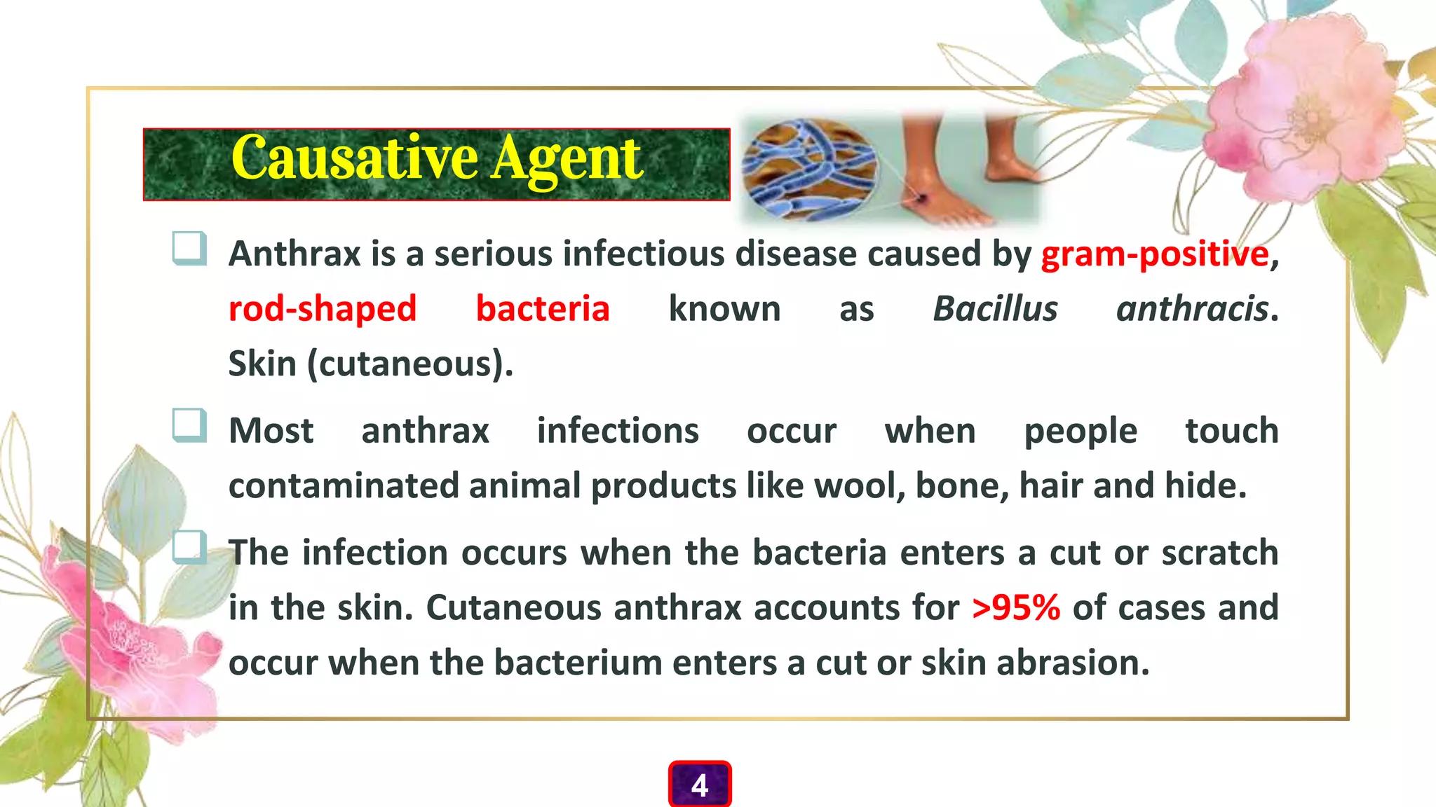 Causative Agent
 Anthrax is a serious infectious disease caused by gram-positive,
rod-shaped bacteria known as Bacillus anthracis.
Skin (cutaneous).
 Most anthrax infections occur when people touch
contaminated animal products like wool, bone, hair and hide.
 The infection occurs when the bacteria enters a cut or scratch
in the skin. Cutaneous anthrax accounts for >95% of cases and
occur when the bacterium enters a cut or skin abrasion.
4
 