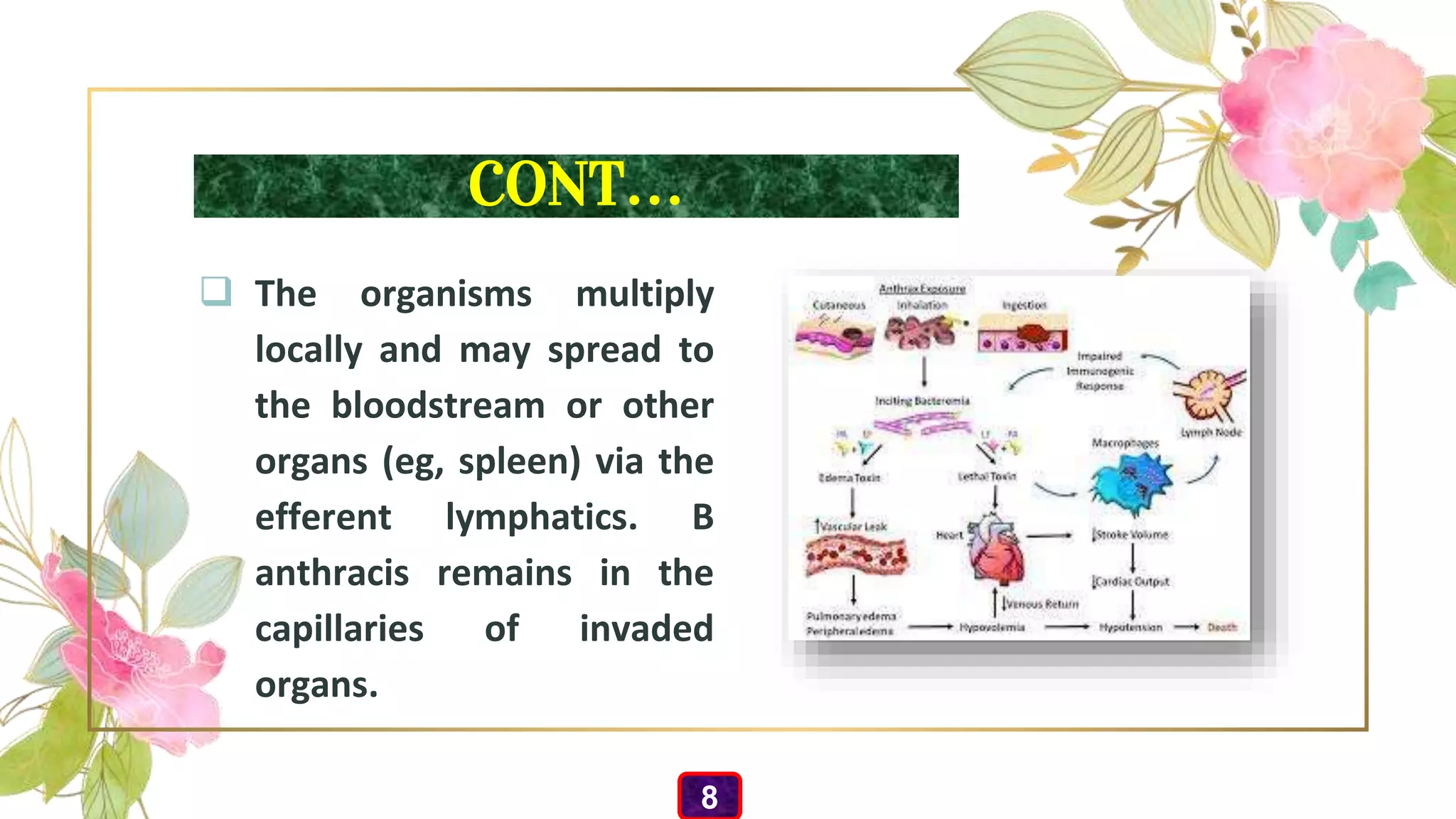 CONT…
 The organisms multiply
locally and may spread to
the bloodstream or other
organs (eg, spleen) via the
efferent lymphatics. B
anthracis remains in the
capillaries of invaded
organs.
8
 