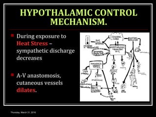 HYPOTHALAMIC CONTROL
MECHANISM.
 During exposure to
Heat Stress –
sympathetic discharge
decreases
 A-V anastomosis,
cutaneous vessels
dilates.
Thursday, March 31, 2016
 