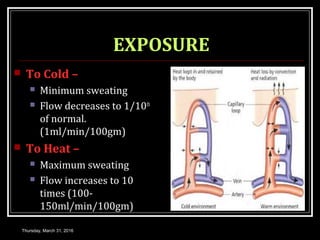 EXPOSURE
 To Cold –
 Minimum sweating
 Flow decreases to 1/10th
of normal.
(1ml/min/100gm)
 To Heat –
 Maximum sweating
 Flow increases to 10
times (100-
150ml/min/100gm)
Thursday, March 31, 2016
 