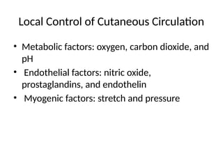 Comprehensive Overview of Cutaneous Circulation and Its Role in Skin ...