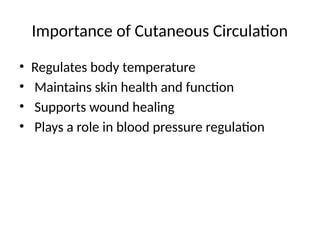 Comprehensive Overview of Cutaneous Circulation and Its Role in Skin ...