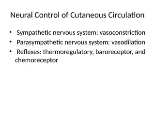 Comprehensive Overview of Cutaneous Circulation and Its Role in Skin ...