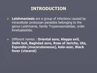 INTRODUCTION
► Leishmaniasis are a group of infections caused by
intracellular protozoan parasites belonging to the
genus Leishmania, family Trypanosomatidae, order
Kinetoplastida.
► Different names : Oriental sore, Aleppo evil,
Delhi boil, Baghdad sore, Rose of Jericho, Uta,
Espundia (mucocutaneous), kala-azar, Black
fever (visceral)
 